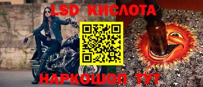 шишки Добрянка