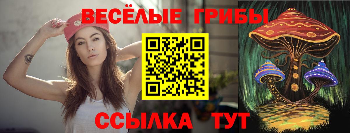 Псилоцибиновые грибы ЛСД  Вход с VPN  Гусиноозёрск  Галлюциногенные грибы мухоморы 
