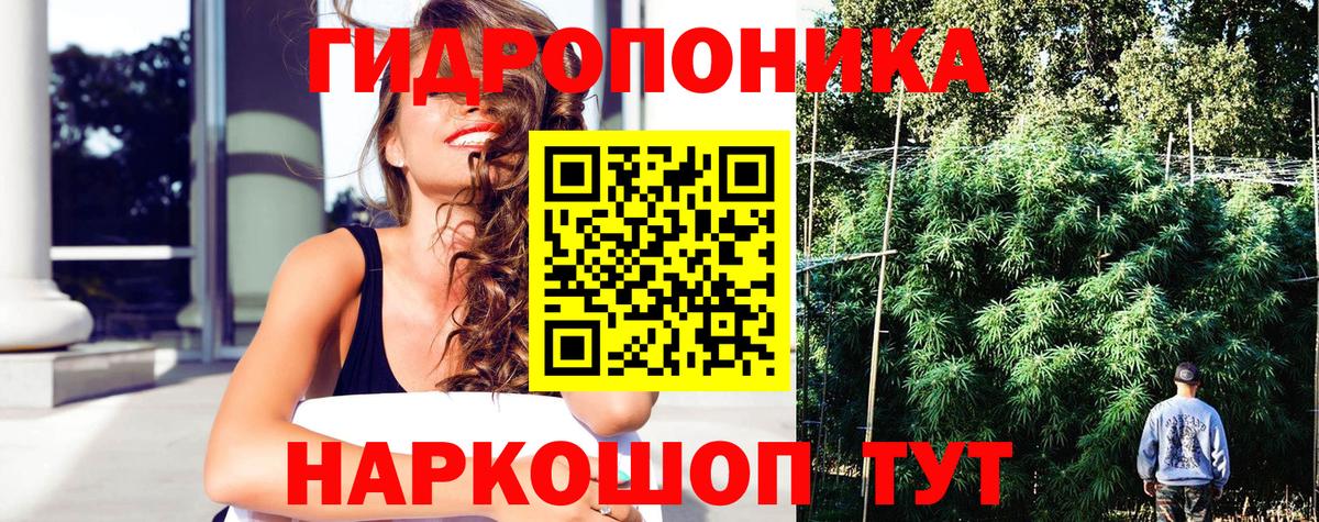 Канабис планчик  Вход с VPN  Гусиноозёрск  Шишки марихуана тримм  Канабис Bruce Banner 